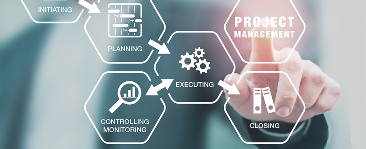 Best Project Management Agency in India